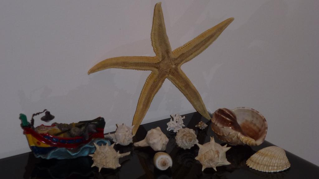 Sea Star Daire Cefalù Oda fotoğraf